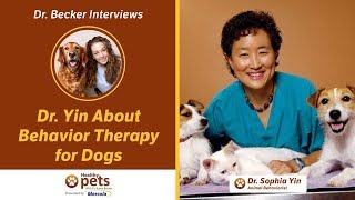 Dr. Becker Interviews Dr. Yin About Behavior Therapy for Dogs