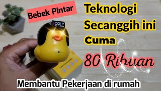 Ripple Smart Duck Review | The Duck That's Going Viral