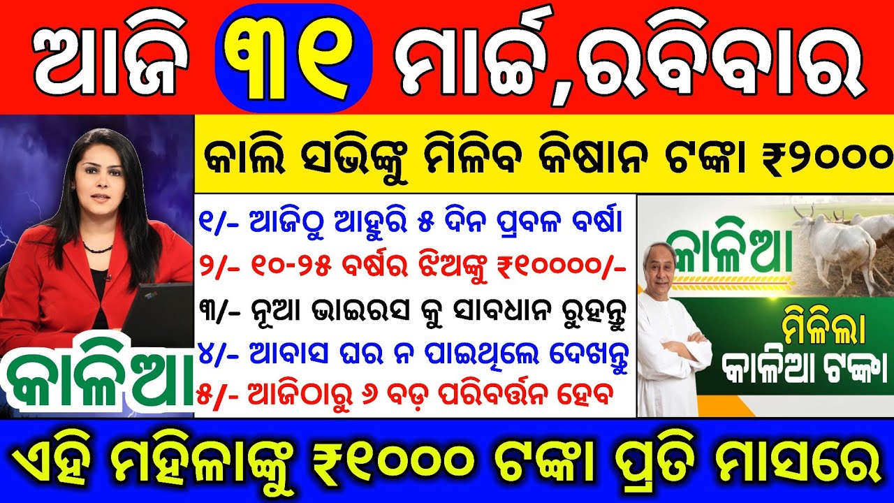 today's morning news odisha/31 march 2024/heavy to heavy rain/odisha news today/odisha samachar