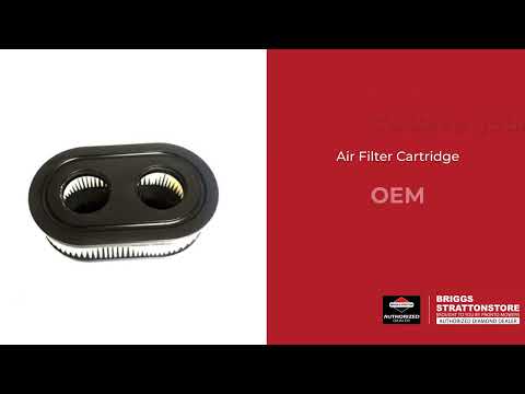 5432K Air Filter Cartridge - Briggs and Stratton - Genuine OEM Part