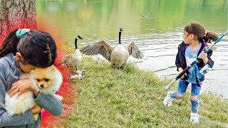 We Can't BELIEVE They GOT ATTACKED By DUCK'S!!! ** SCARY**