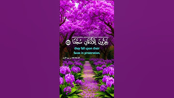 سورة الإسراء من الآية 105 - 109