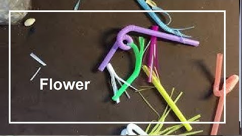 How To Make Forsythia Paper Flower From Crepe Paper (Slowly) - Craft Tutorial