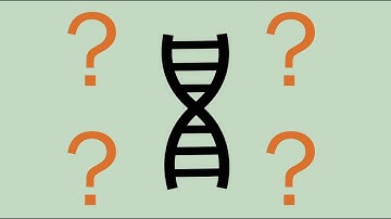 The ethics of CRISPR gene editing with Jennifer Doudna