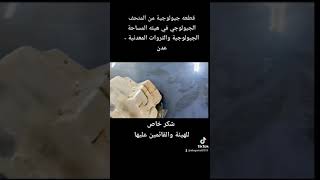 معدن الهاليت ملح الطعام Halite وبعض الخواص البصريه والخواص الفيزيائية