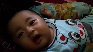 elvina almira rizki  nyayi lucu