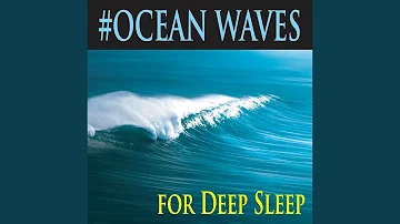 Palm Tree Ocean Wave Sounds for Deep Sleeping