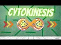 Cytokinesis | Neet 2023