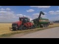 Claas Lexion 770 &amp; Big Harvester Day | Case Quadtrac 600 + Bergmann Compiler | Farming