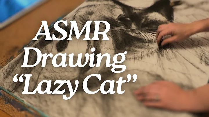 Video 11768221: draw siamese cat, lazy cat, talking, cat sun