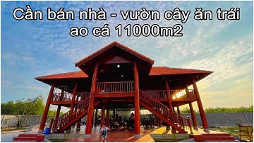 cần bán nhà vườn - có nhà gỗ 2 tầng vườn cây ăn trái - ao cá 11000m2 Phước Long Thọ - Đất Đỏ
