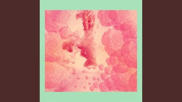 Funky Backdrops for Supportive Remedies