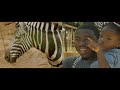 Zoo Atlanta 2020 African Savanna Commercial: Updated