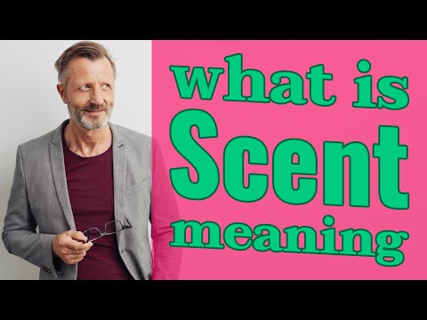 Scent | Meaning of scent