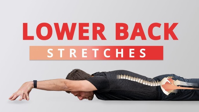 5 Exercises for a Strong Lower Back (NO MORE PAIN!) 