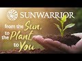 Clean plantbased proteins and superfoods  sunwarrior