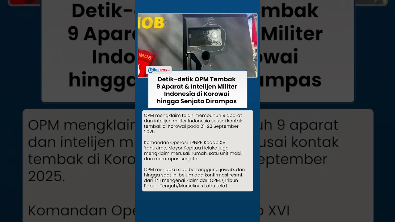 Detik-detik OPM Tembak 9 Aparat & Intelijen Militer Indonesia di Korowai, Senjata Ikut Dirampas