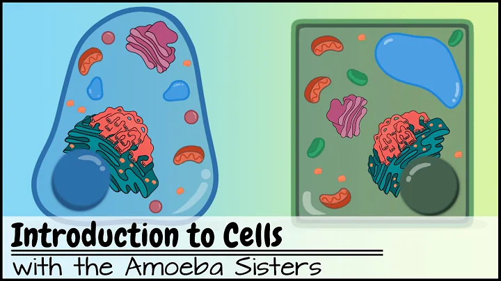 Introduction to Cells: The Grand Cell Tour - DayDayNews