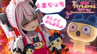 兎鞠まりの配信のサムネイル画像