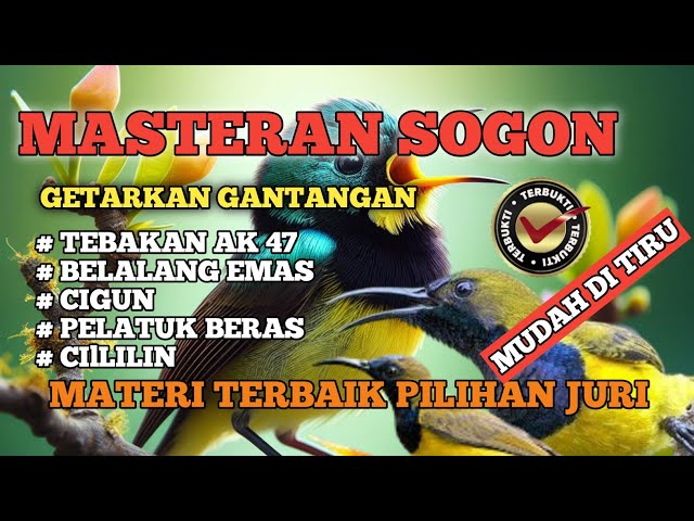 2 jam Masteran sogon‼️siap getarkan gantangan tembakan AK 47  ngebren idola para juri class=