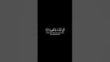تلاوة عذباء😌أرح سمعك لدقيقة♥️بصوت الشيخ #ياسر_الدوسري #اكسبلور #yasseraldossary #قران #دويتو #duet