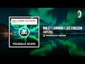 Mully x Shvman x Lee Coulson - Aurora [Molekular Sounds] Extended