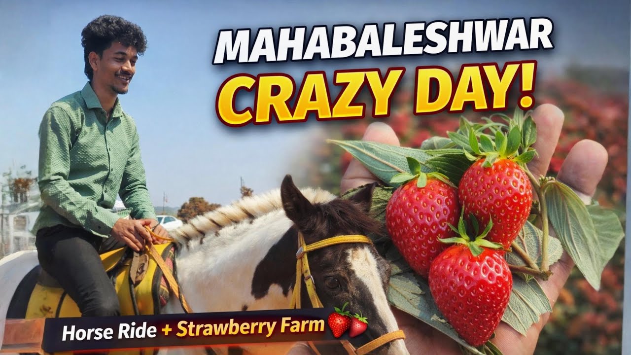 “Mahabaleshwar Vlog 🍓🐎 | Strawberry Farm & Crazy Horse Ride 😂” #mahabaleshwar 