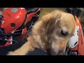 Cbr600rr motovloggin