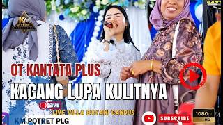 KACANG LUPA KULITNYA | PL KANTATA PLUS | Tinggal Villa bayani Gandus
