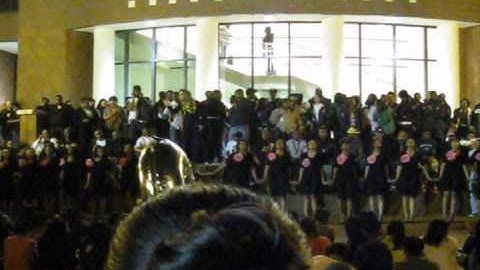 Alpha Kappa Alpha | Theta Rho Spring 09 Probate pt 5