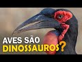 Por que AVES SÃO DINOSSAUROS? Qual a ORIGEM DAS AVES? Como elas sobreviveram a queda do asteroide?