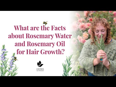 What are the Facts about Rosemary Oil + Rosemary Water for Hair Growth?