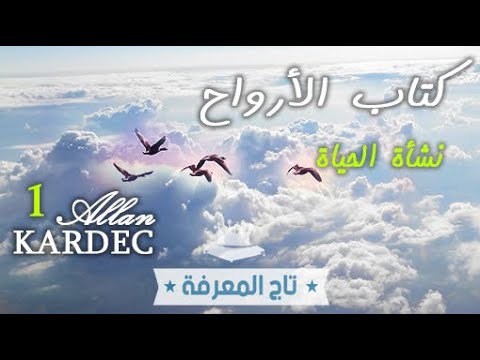 فيديو: ما هو 