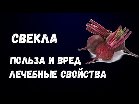 Свекла. Польза и Вред. Лечебные Свойства.