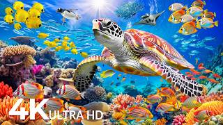 Amazing 4K Ocean Adventure 🐳 Dive Deep and Marvel at Sea Animal in The Best 4K ULTRA HD Aquarium #87