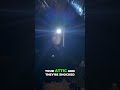 DFW Attic Inspection Reveals Serious Rodent Contamination Issues