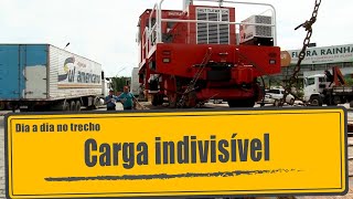 Carga indivisível