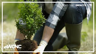 Greenhouse expert shares tips to avoid spring planting pitfalls