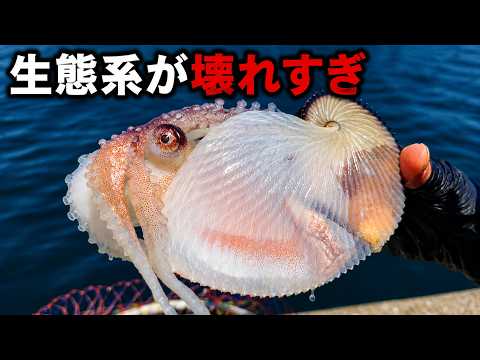 The ecosystem is totally wrecked! A mutant creature no one has