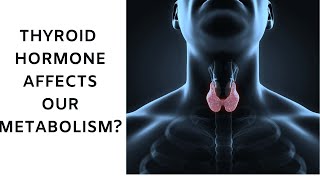 HOW DOES THYROID HORMONE AFFECT METABOLISM: How does t3 and t4 affect metabolism