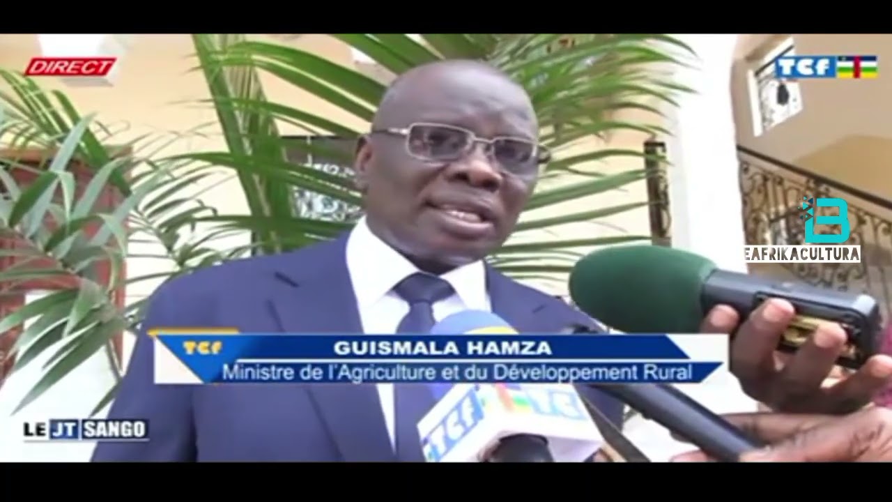 Le JT de 19H : la version Sango -Mardi 24 Févr 2025