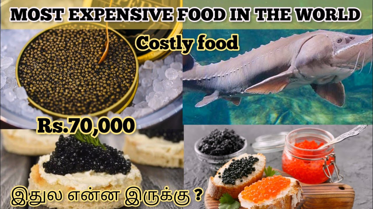 The Most Expensive Food In The World Intresting Facts About Cavier the-most-expensive-food-in-the-world-intresting-facts-about-cavier