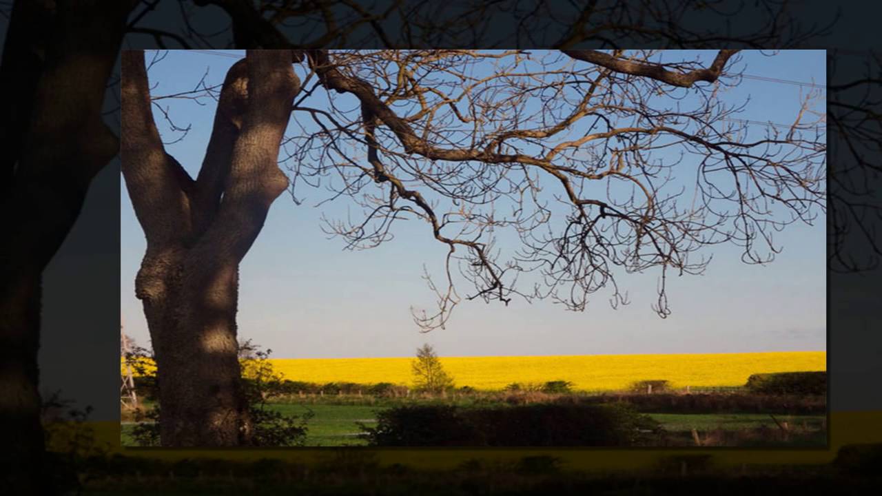 Travel Insurance Tips - 5 Rules for Saving Money on your Travel Insurance Plan - Travel Player