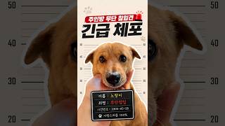 주인방 무단 침입 노랑이 검거
