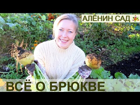 Video: Kaip Auginti Ropę