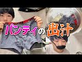 パンツで出汁とったら料亭不可避！