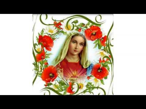 صور مسيحية 17