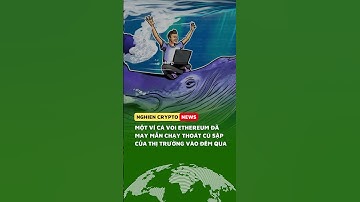 Một cá voi Ethereum đã may mắn chạy thoát khỏi cú sập của thị trường vào đêm qua