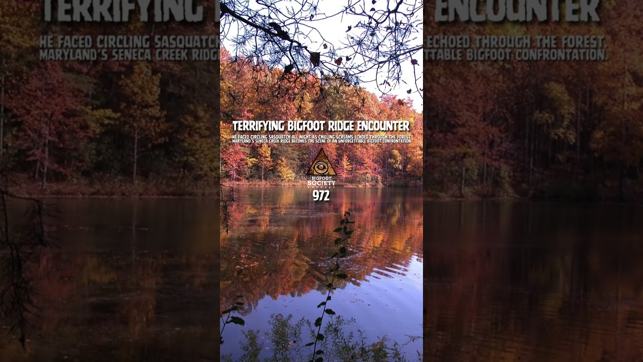 An anthropologist goes hiking in Maryland… and ends up surrounded by multiple Sasquatch all night