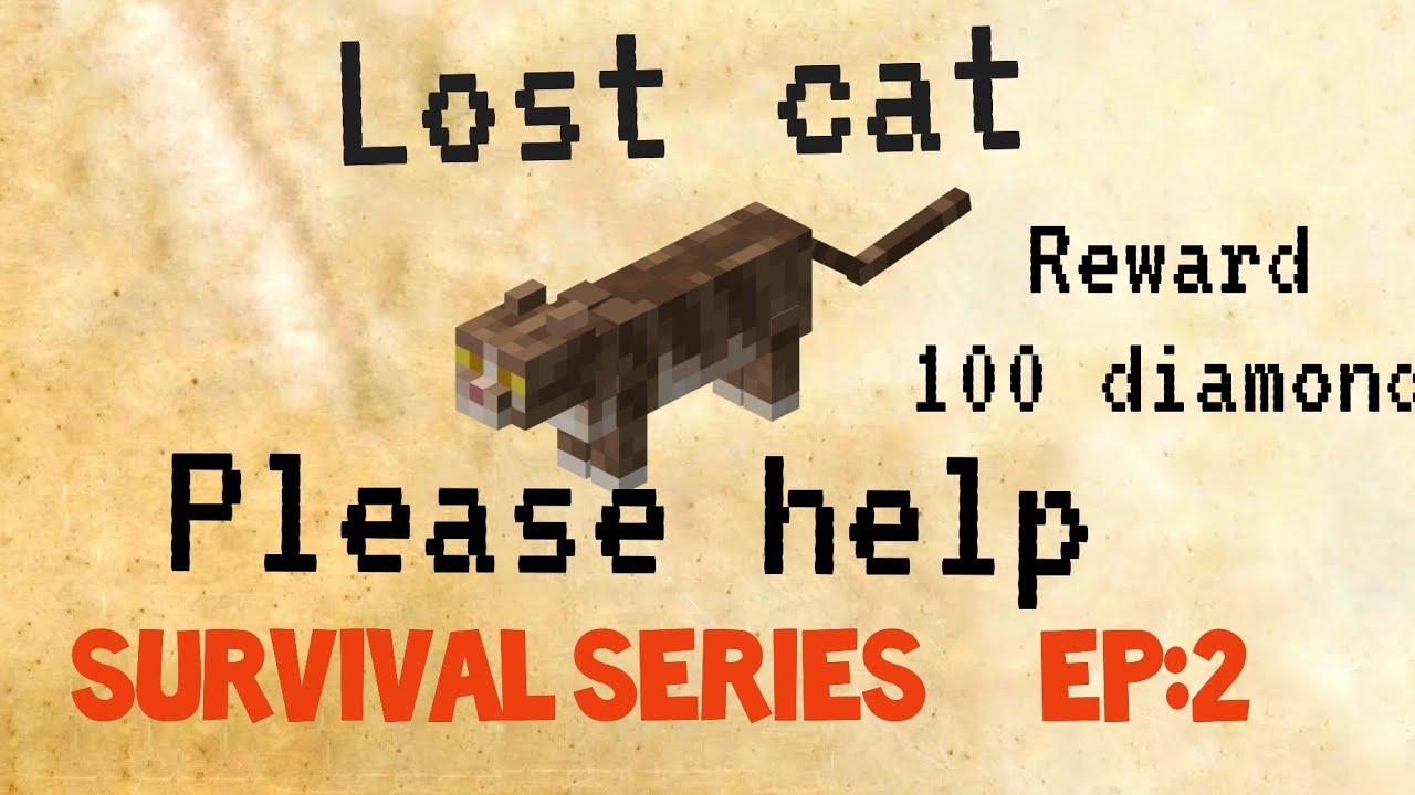 My cat is lost help minecraft Survival series 2 YouTube